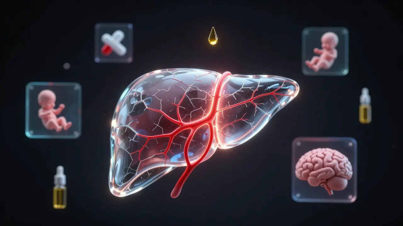 Durchscheinende Leber mit roten Rissen, umgeben von Medikamenten, Gehirn und Transplantat.