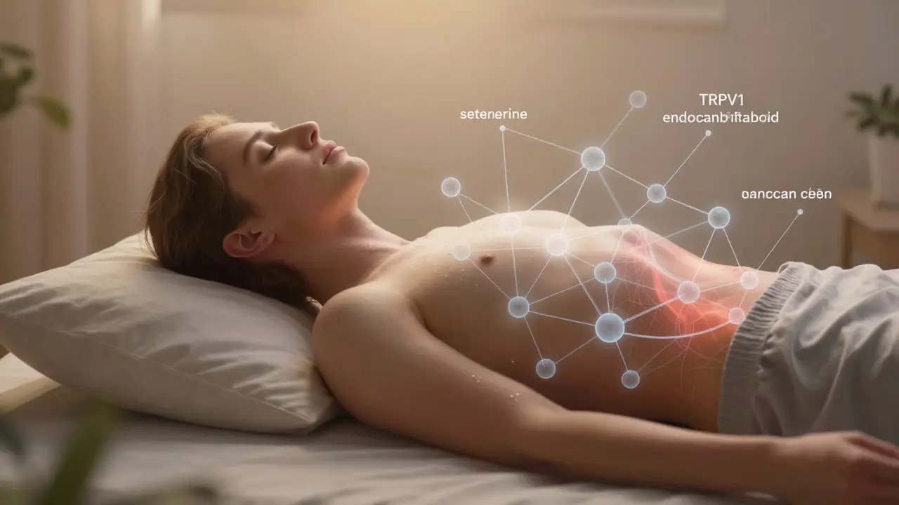 Person in Ruhe, umgeben von Rezeptor-Netzwerken, die CBD bei Angst, Schmerz und Entzündung regulieren – sanfte, harmonische Atmosphäre.