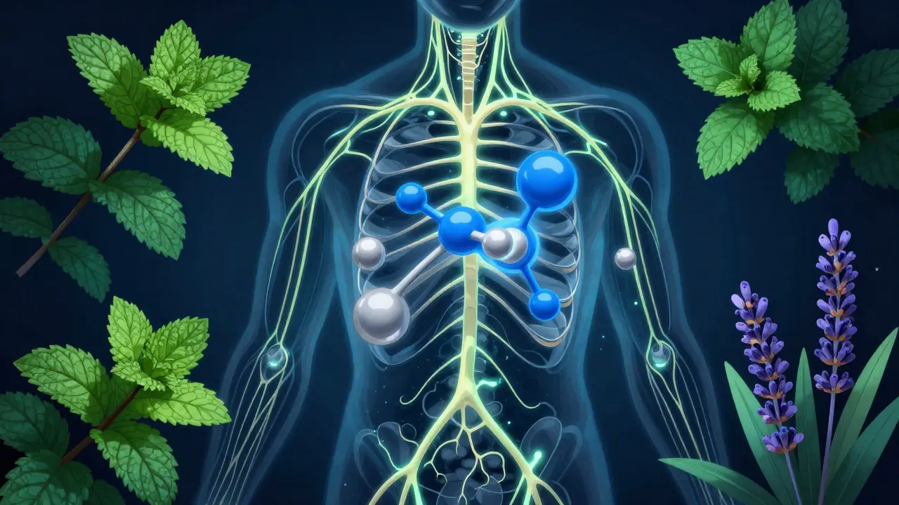 Abstrakte Darstellung von Schmerzsignalen, die durch Menthol- und Kampfermoleküle blockiert werden.