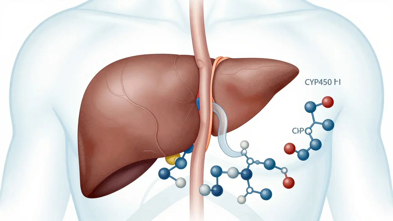 Können CBD-Gummis die Leber beeinflussen?