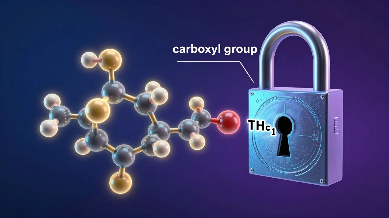 3D-Illustration einer THCa-Molekülstruktur an einem CB1-Rezeptor.